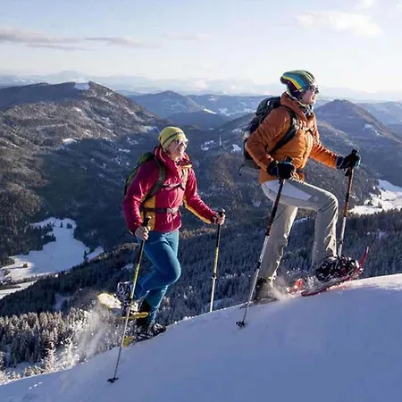 Alpenchalet Lambert Дом отдыха