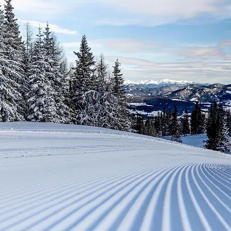 Alpenchalet Lambert * Санкт-Ламбрехт