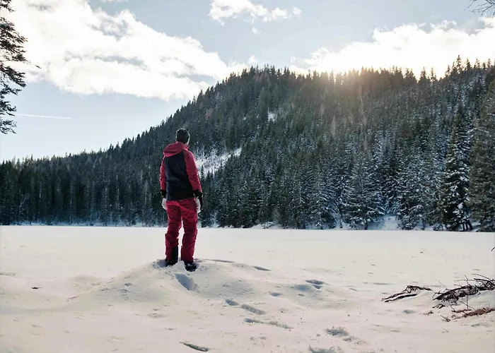 بيت للعطل Alpenchalet Lambert *