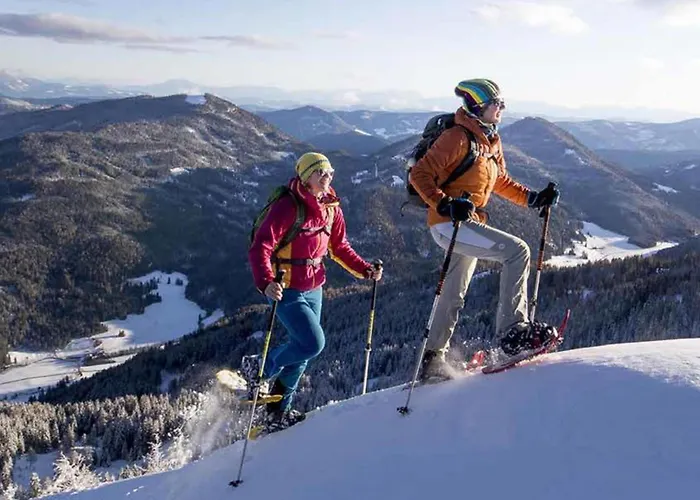 Alpenchalet Lambert 度假居